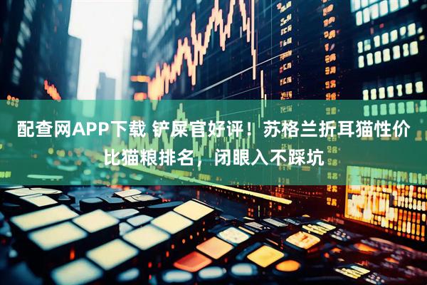 配查网APP下载 铲屎官好评！苏格兰折耳猫性价比猫粮排名，闭眼入不踩坑