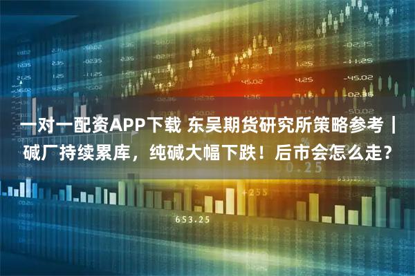 一对一配资APP下载 东吴期货研究所策略参考|碱厂持续累库,纯碱大幅下跌!后市会怎么走?