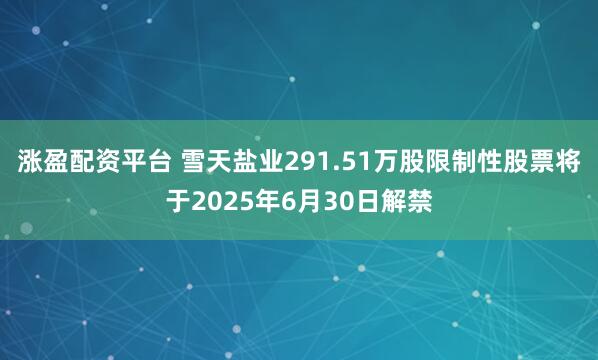 涨盈配资平台 雪天盐业291.51万股限制性股票将于2025年6月30日解禁