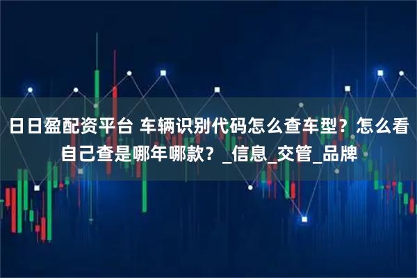 日日盈配资平台 车辆识别代码怎么查车型？怎么看自己查是哪年哪款？_信息_交管_品牌