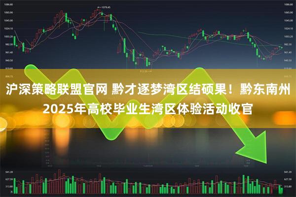 沪深策略联盟官网 黔才逐梦湾区结硕果！黔东南州2025年高校毕业生湾区体验活动收官