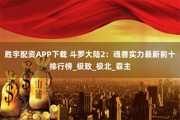胜宇配资APP下载 斗罗大陆2：魂兽实力最新前十排行榜_极致_极北_霸主